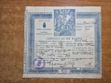 certificat de botez - din 26 septembrie 1915 - craiova