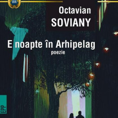 E noapte în Arhipelag - Paperback brosat - Octavian Soviany - Paralela 45
