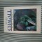 Marc Chagal Early Works
