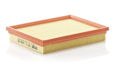 MANN-FILTER C 2256 Filtru aer foto