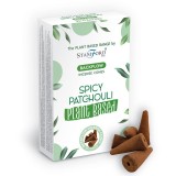 Cumpara ieftin Conuri Parfumate pe Baza de Plante - Patchouli Picant
