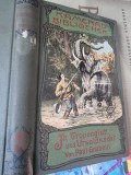 In Tropenglut und Urwald Nacht - Paul Grabein text in limba germana