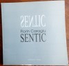 FLORIN CARAGIU - SENTIC (VERSURI, 2009)