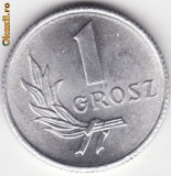 Moneda Polonia - 1 Grosz 1949