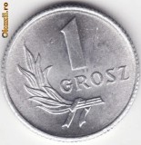 Moneda Polonia - 1 Grosz 1949, Europa