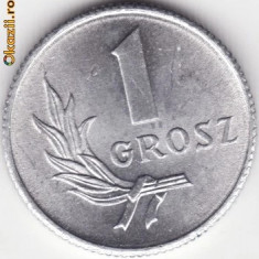 Moneda Polonia - 1 Grosz 1949