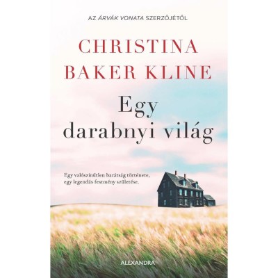 Egy darabnyi vil&amp;aacute;g - Christina Baker Kline foto