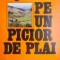 Pe un picior de plai &ndash; Eugen Barbu