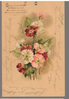 CPIB 23939 - CARTE POSTALA - FELICITARE - FLORI, GERMANIA, CIRCULATA, 1902, STAMPILA, TIMBRU foto