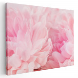 Tablou floare bujor roz detaliu Tablou canvas pe panza CU RAMA 60x90 cm
