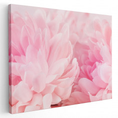 Tablou floare bujor roz detaliu Tablou canvas pe panza CU RAMA 30x40 cm