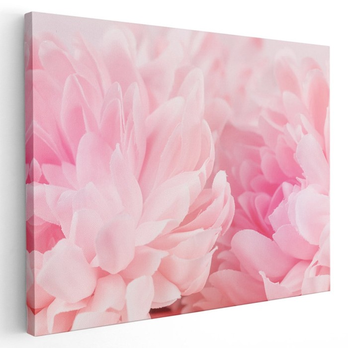 Tablou floare bujor roz detaliu Tablou canvas pe panza CU RAMA 70x100 cm