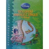DESCOPERA ANIMALELE JUNGLEI CU MOWGLI-DISNEY-230799