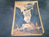 REVISTA DIMINEATA COPIILOR 21 FEBRUARIE 1940