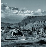 Drumul matasii | Wang Qing