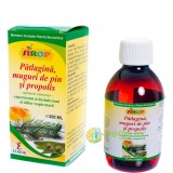 Sirop de Patlagina, Muguri de Pin si Propolis 200ml