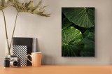 Tablou Canvas, "Frunzele strălucitoare după ploaie", Verde, Frunză, Plante, Natură, Rouă, Textură, 26 x 39 cm, CMCLASS