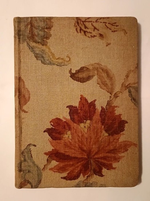 Ion Pillat - &Icirc;ntoarcere 1908-1918 (1928) (recopertată)