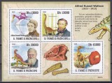 Sao Tome si Principe 2009 - Dinozaurii și Alfred Russel Wallace, Bloc, Cota 10 EURO, MNH
