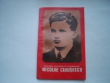 Tineretea revolutionara a tovarasului Nicolae Ceausescu - Olimpiu Matichescu, 1981, Alta editura
