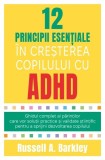 12 principii esentiale in cresterea copilului cu ADHD - Herald