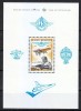 Belgia 1976 - Aviație, Royal Aero Club, colita neuzata