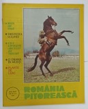 ROMANIA PITOREASCA , REVISTA LUNARA , SERIE NOUA , NUMARUL 10 , 1990