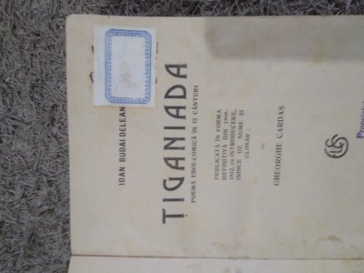Tiganiada 1923 foto