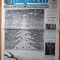 ziarul magazin 21 decembrie 2000