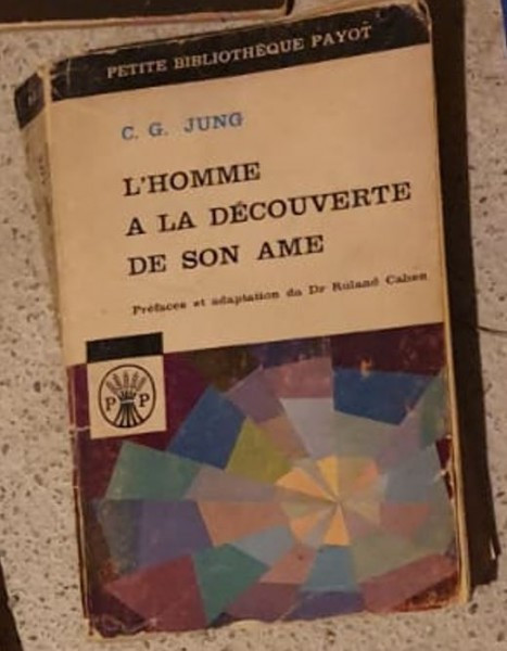 C. G. Jung - L&#039;Homme A La Decouverte de Son Ame