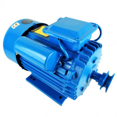 Motor electric 1.1kW monofazat 220V 3000rpm (CMP0733) foto