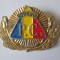 Insigna/cuc cascheta Politia Comunitara anii 2000