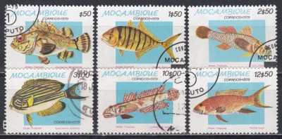 Mozambic 1979 - Pești tropicali, Stampilat foto