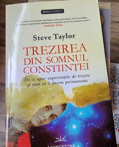 Steve Taylor - Trezirea din somnul constiintei