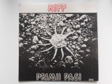 Disc vinil RIFF - Primii pasi, Electrecord 1989 Rock romanesc, stare foarte buna