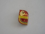 QW9 J 74 - Insigna - tematica pionieri - Pionier creator locul I, Romania de la 1950