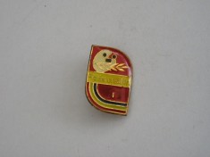 QW9 J 74 - Insigna - tematica pionieri - Pionier creator locul I