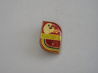 QW9 J 74 - Insigna - tematica pionieri - Pionier creator locul I foto