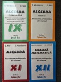 REZOLVAREA PROBLEMELOR DIN MANUAL Clasa IX, X, XI, XII - Nita, Nastasescu, Colojoara