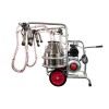 EMT. Aparat de muls vaci, doua bidoane inox 40 litri, 2 posturi