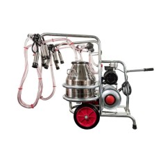 EMT. Aparat de muls vaci, doua bidoane inox 40 litri, 2 posturi
