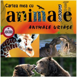 Animale uriaşe. Cartea mea cu animale (+ jocuri) - Hardcover - Autor Colectiv - Prut