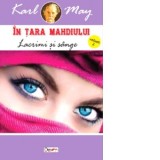 In tara mahdiului. Volumul 2: Lacrimi si sange - Karl May