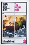 Cumpara ieftin Țara brazilor &icirc;nalți - 1985 - Sarah Orne Jewett (T350)