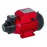 Pompa de apa centrifugala de suprafata periferica Raider, 370 W, 2850 rpm, 35 m, 2100 l/h