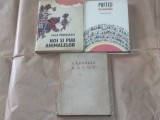 CARTI PENTRU COPII LOT 38