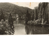 CPIB 15810 CARTE POSTALA - LACUL ROSU, BARCA, Circulata, Fotografie