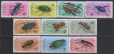 Timbre cu insecte din RD Congo