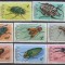 Timbre cu insecte din RD Congo
