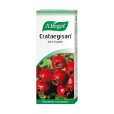 A. Vogel Crataegisan Păducel, 50ml - Tinctură Bio Inimă &amp; Tensiune. Reduce Pulsul, Stres, Nervozitate. Remediu Natural pe bază de Plante